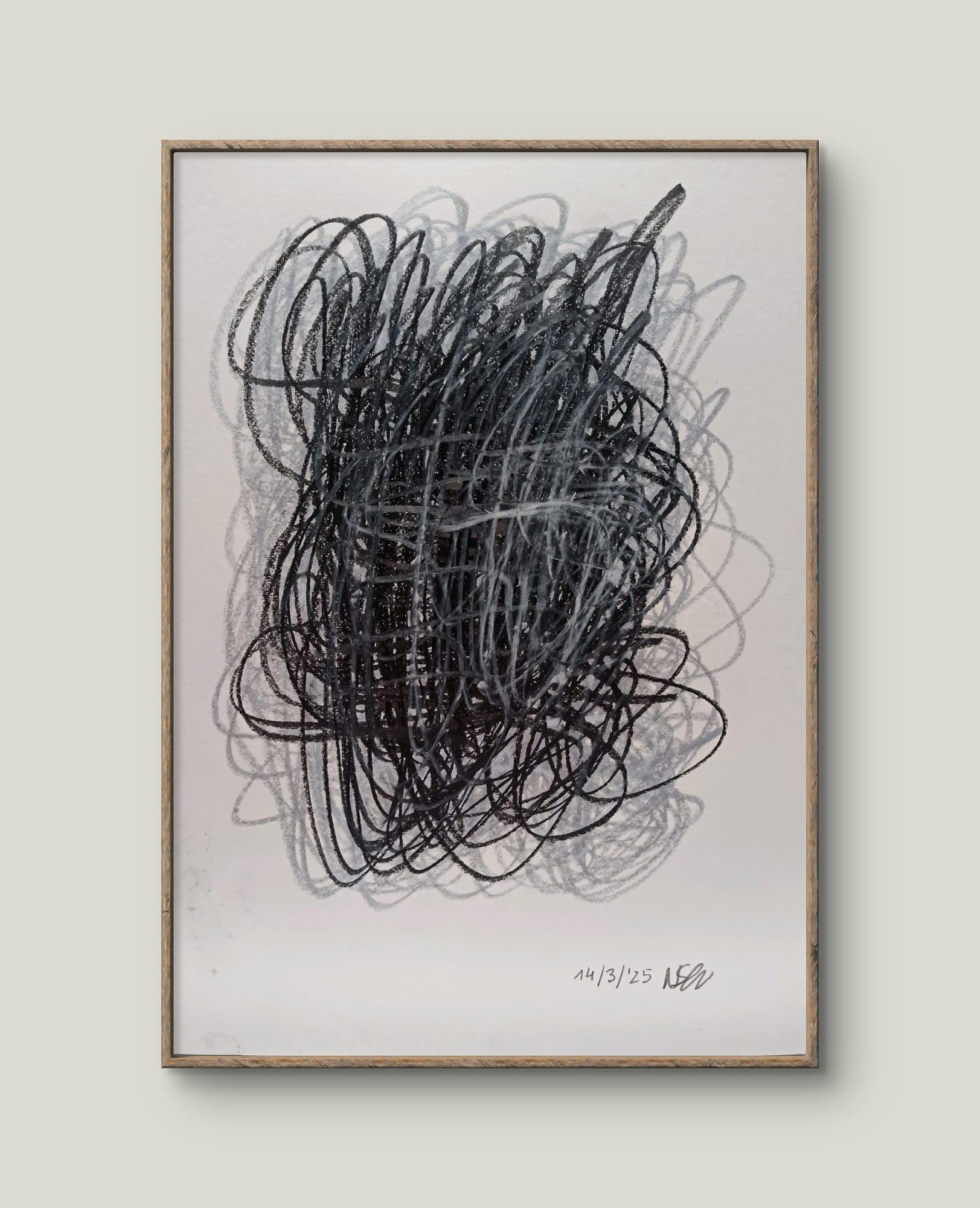  Diary: March 14, 2025